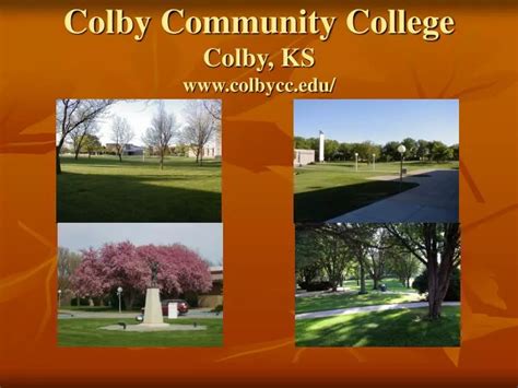 etc cycle ppt|Colby College.